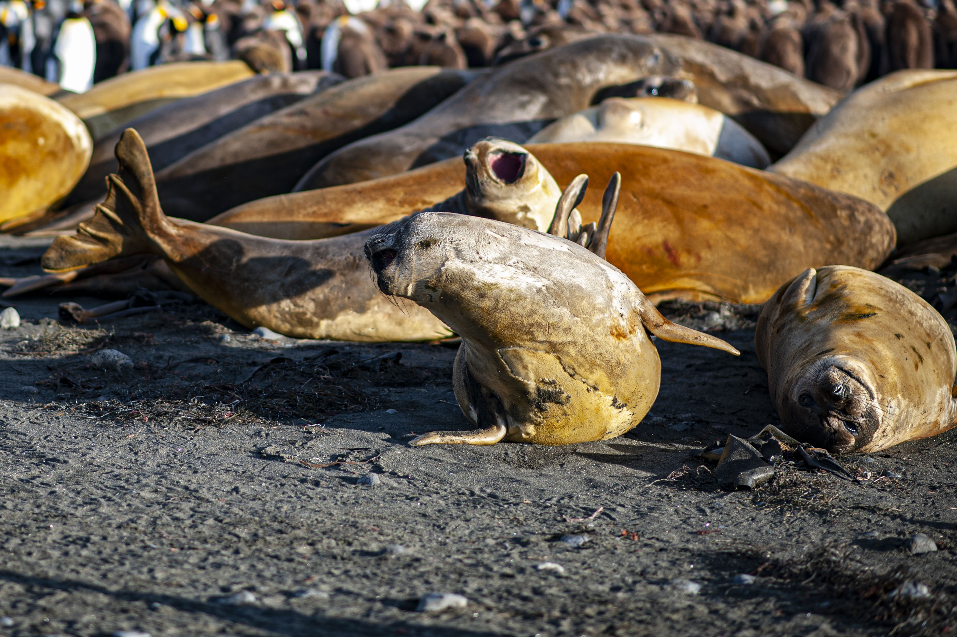 GYT 20220701 135425  DSC6284